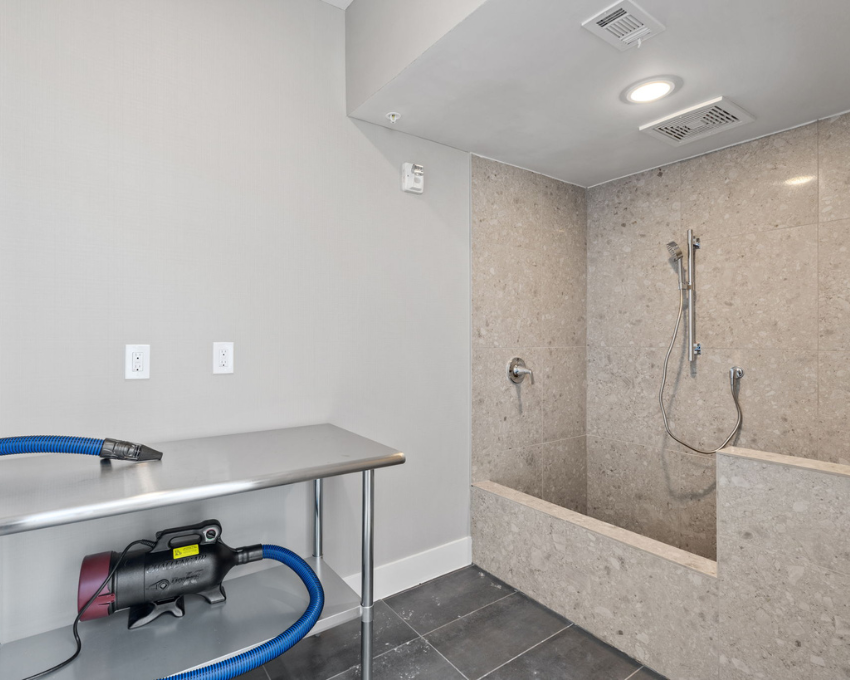 Ariza 290 West pet spa